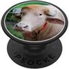 The Cute Albino Buffalo Rare Albino Buffalo in Bangladesh Named After The President PopSockets PopGrip Adesivo