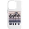 Cape Cod Beach Massachusetts Surfing Sur Custodia per iPhone 14 Pro Capo Cod