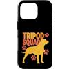 Cani da soma canini resistenti Custodia per iPhone 16 Pro Tripod Squad Dog Three Legs Resilience Support -