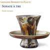 Giovanni Benedetto Platti Giovanni Benedetto Platti: Sonate À Tre (CD) Album