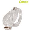 Brutus Doorman Chastity Cage Clear