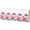 Safety spa FAZZOLETTI CARTA 10BUST