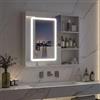CXHLXYR Armadietto da bagno a specchio con illuminazione a LED, armadio da bagno con 3 colori leggeri, specchio bagno con spazio e 1 anta mobile a specchio con ripiano regolabile (bianco-3, 60 x 60 cm)