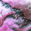 Linkin Park From Zero (Vinyl LP) 12" Album Coloured Vinyl (Limited Edition)