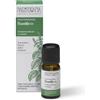 Nasoterapia - Olio essenziale Basilico 10 ml