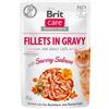 BRIT Care Cat Fillets in gravy savory salmon 85 g filetti di salmone in salsa