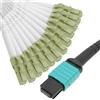 Cablematic BeMatik - Cavo in fibra ottica fanout OM3 multimodale 50 µm/125 µm da MTP/PC a 12 x LC/PC 10 Gb, 2 m