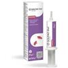 2022 ENVIRONMENTAL SCIENCE FR Solfac Gel Scarafaggi 20g