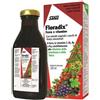 SALUS HAUS Gmbh & Co KG Floradix 250ml