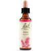 SCHWABE PHARMA ITALIA Srl Pine Bach Orig 20ml