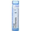 CEMON Srl Thuya Occidentalis 6 Ch Granuli