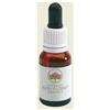BUSH BIOTHERAPIES Pty Ltd Mountain Devil 15ml Gtt