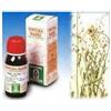 SPECCHIASOL Srl Borsa pastore 4 50ml tm