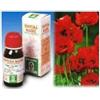 SPECCHIASOL Srl Papavero california 13 50ml tm