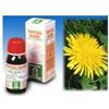 SPECCHIASOL Srl Tarassaco 28 50ml tm
