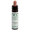 SANTIVERI Sa Ainsworths walnut 10ml