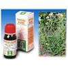 SPECCHIASOL Srl Achillea 51 tintura madre 50 ml