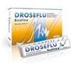 PRINCEPS Srl Droseflu 10 bustine 15 ml