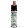 SANTIVERI Sa Ainsworths crab apple 10ml