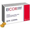 Eicor 1000 30 softgel