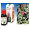 SPECCHIASOL Srl Cardo mariano 6 50ml tm
