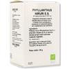 OTI Srl Phyllanthus Niruri Es 60 Capsule