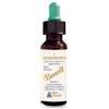 ALCHIMIA BENOIT Srl Fiori di bach benoit agrimony 10 ml