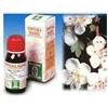 SPECCHIASOL Srl Biancospino 10 50ml Tm