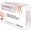 CA.DI.GROUP SpA Cadired 5 36cps