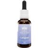 BUSH BIOTHERAPIES Pty Ltd Caregiver 30ml