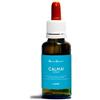 NATUR Srl Calma ansia natur mix 30 ml