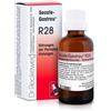 DR.RECKEWEG & CO. GmbH Reckeweg r28 gocce 22ml