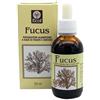 ECOL Sas Fucus estratto analcolico 50 ml articolo 796