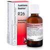 DR.RECKEWEG & CO. GmbH Reckeweg r26 gocce 22ml
