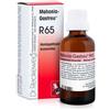 DR.RECKEWEG & CO. GmbH Reckeweg r65 gocce 22ml
