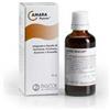 NAMED Srl Amara 50 ml gocce pascoe
