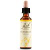 SCHWABE PHARMA ITALIA Srl Hornbeam bach orig 20 ml