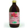 SANGALLI Srl Berrysan puro succo cranberry 500 ml