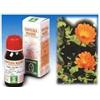 SPECCHIASOL Srl Calendula off 5 50ml tm