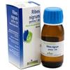 BOIRON Srl Ribes nigrum gemme 60ml mg