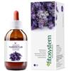 FITOSYSTEM Snc System Flowers Plus 50ml