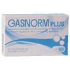 LAERBIUM PHARMA Srl Gasnorm Plus 36cps