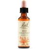 SCHWABE PHARMA ITALIA Srl Red chestnut bach orig 20 ml