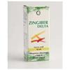PHARMEXTRACTA SpA Zingiber delta soluzione idroalcolica 50 ml