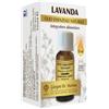 DR.GIORGINI SER-VIS Srl Lavanda olio essenziale naturale 10 ml