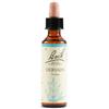SCHWABE PHARMA ITALIA Srl Vervain bach orig 20 ml
