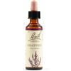 SCHWABE PHARMA ITALIA Srl Heather bach orig 20 ml