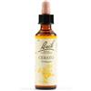 SCHWABE PHARMA ITALIA Srl Cerato bach orig 20 ml