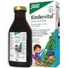 SALUS HAUS Gmbh & Co KG Kindervital 250 ml