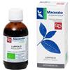FITOMEDICAL Srl Luppolo tintura madre 50 ml bio